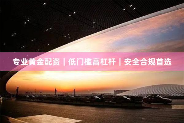 专业黄金配资｜低门槛高杠杆｜安全合规首选
